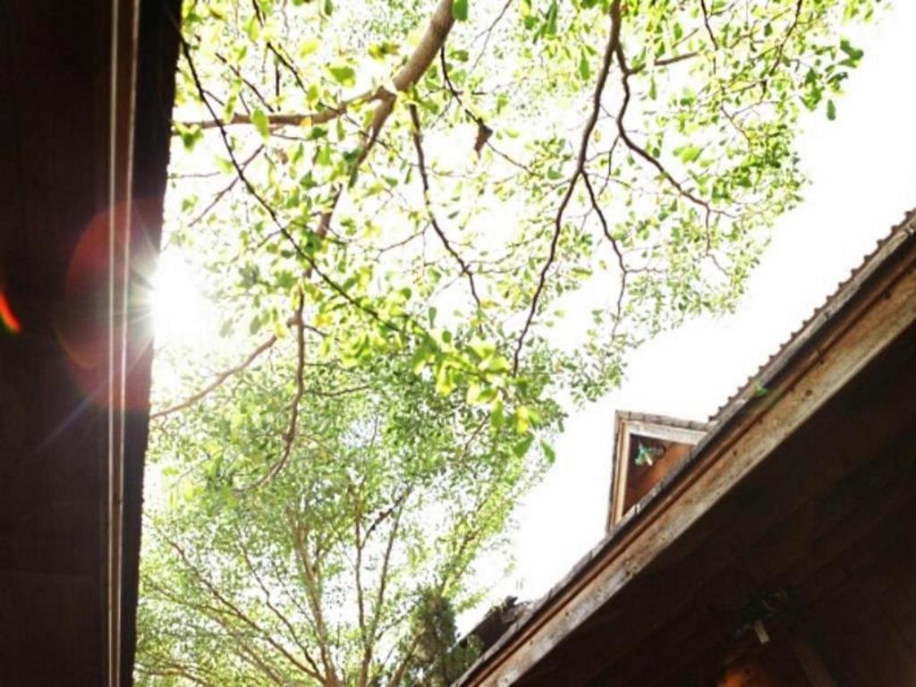 Loghome Boutique Chiang Mai Bagian luar foto